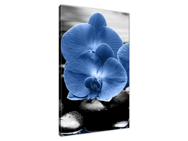 Luxusný obraz Modré orchidey
