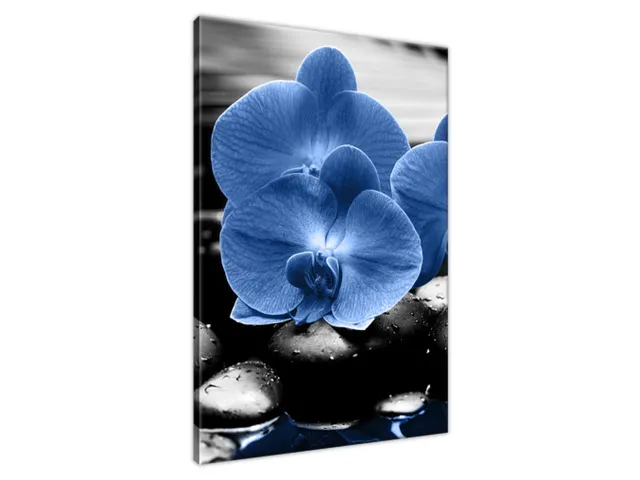 Luxusný obraz Modré orchidey