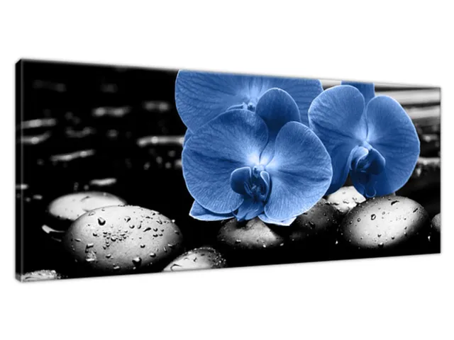 Luxusný obraz Modré orchidey