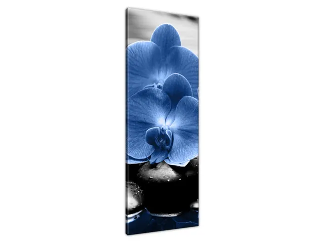 Luxusný obraz Modré orchidey