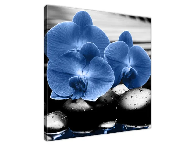 Luxusný obraz Modré orchidey
