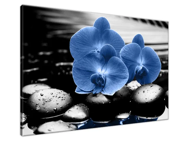 Luxusný obraz Modré orchidey