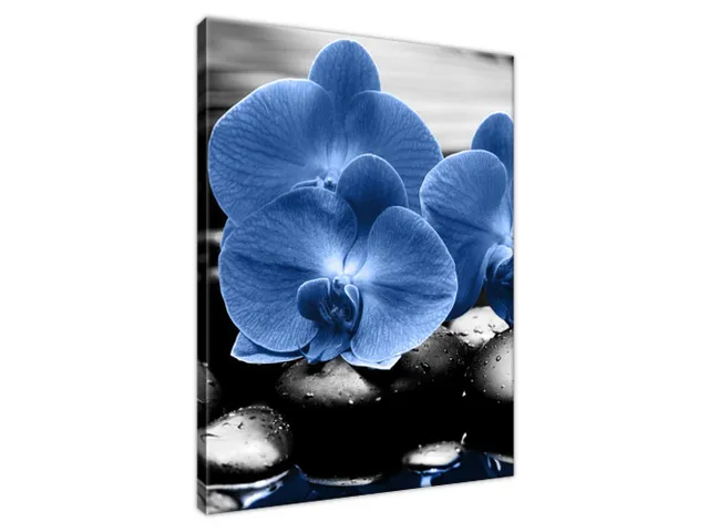Luxusný obraz Modré orchidey