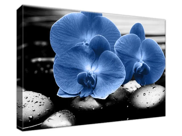 Luxusný obraz Modré orchidey