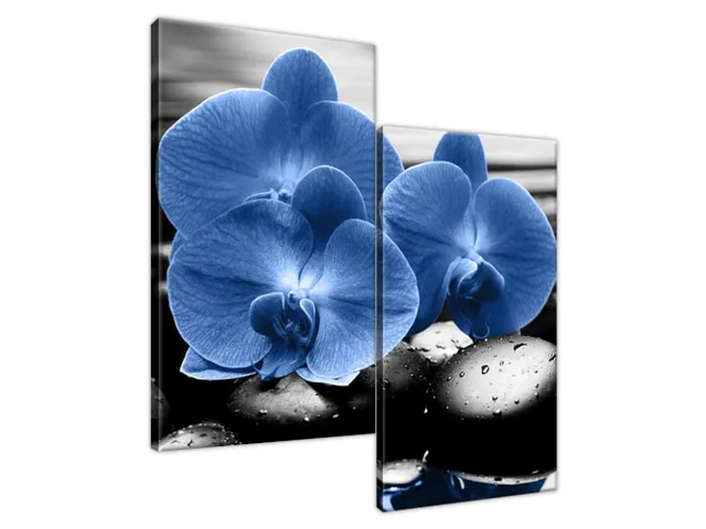 Luxusný obraz Modré orchidey