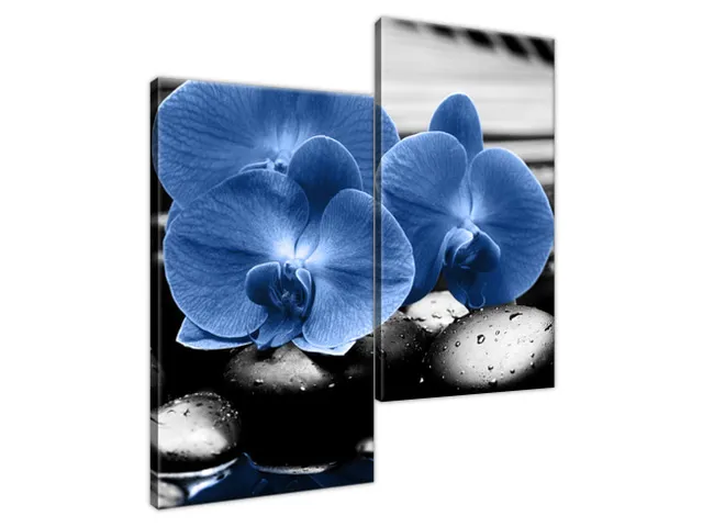 Luxusný obraz Modré orchidey
