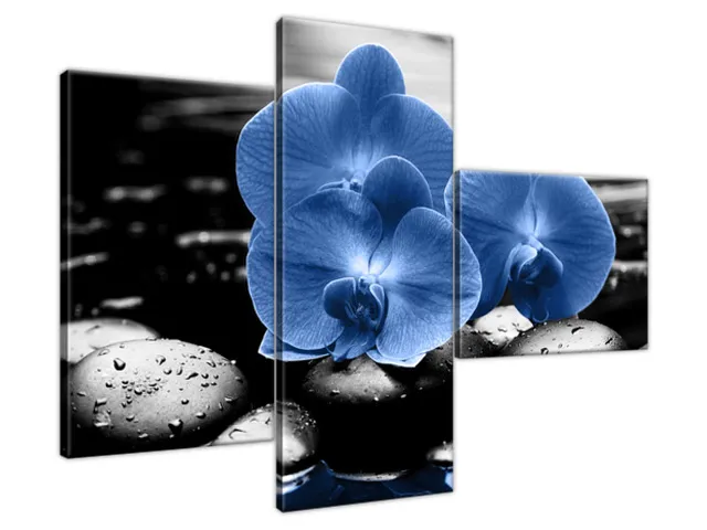 Luxusný obraz Modré orchidey