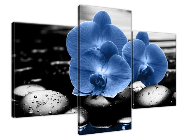 Luxusný obraz Modré orchidey