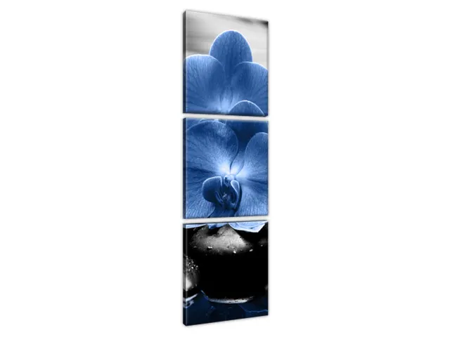 Luxusný obraz Modré orchidey