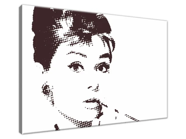 Obraz na stenu Audrey Hepburn