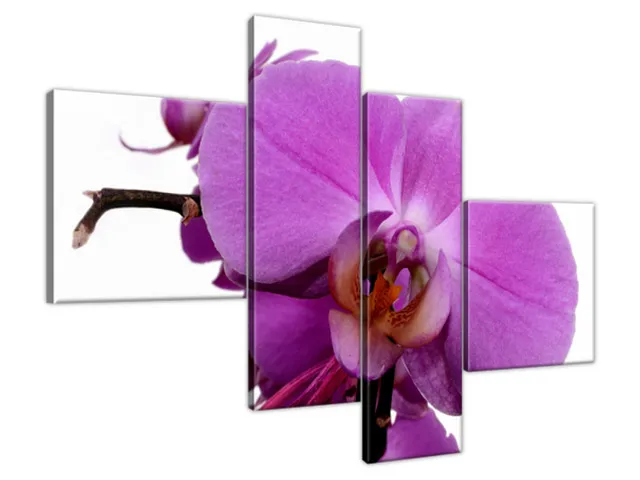 Obraz na stenu Fialová orchidea