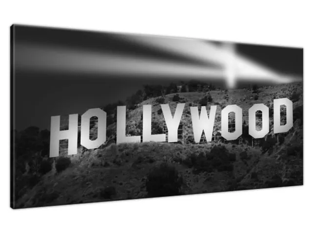Obraz na stenu Night in Hollywood
