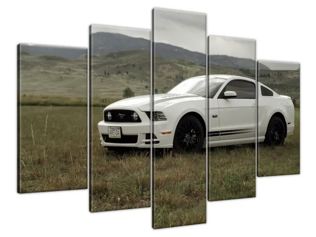 Obraz Mustang GT V8 - Brett Levin