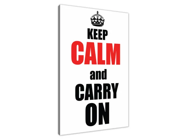 Obraz na plátne s nápisom Carry on