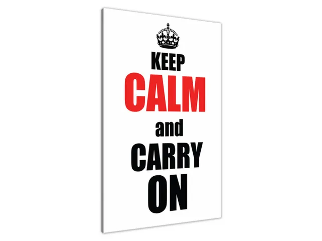 Obraz na plátne s nápisom Carry on