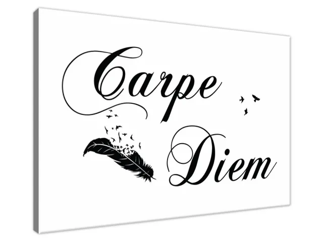 Obraz na stenu s nápisom Carpe diem