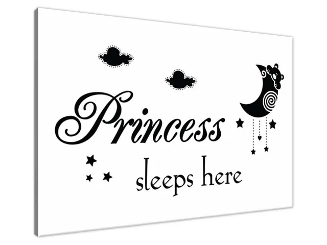 Obraz na stenu s nápisom Princess