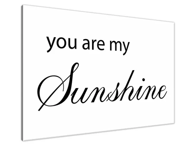 Obraz na stenu s nápisom You are my sunshine