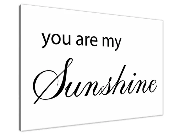Obraz na stenu s nápisom You are my sunshine