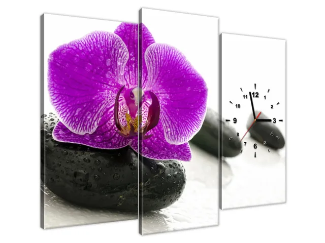Štýlový obraz s hodinami Orchidea na kameni