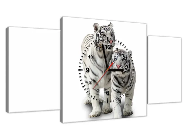 Dizajnové nástenné hodiny Biele tigre