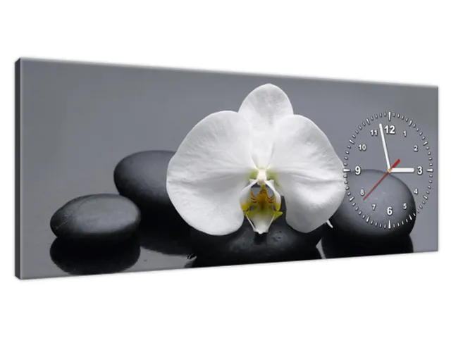 Moderný obraz s hodinami Biela orchidea