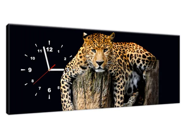 Hodiny Leopard