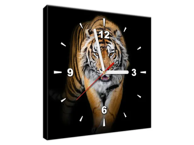 Dizajnové nástenné hodiny Tiger